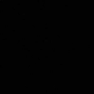 Meet your Posher, Max